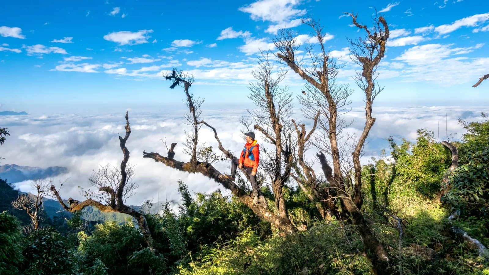 Kinh nghiệm chuẩn bị cho chuyến trekking đầu tiên