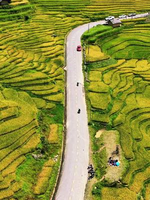 Đã tới mùa đẹp nhất để đi trekking